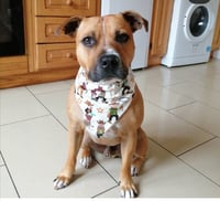 Image 4 of Assorted Doggos Dog Bandana