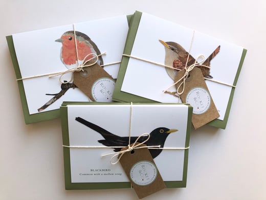 ⭐️ Garden Birds - pack of 10 cards ⭐️