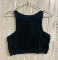 Image 2 of Get Shorty Shell Tank 