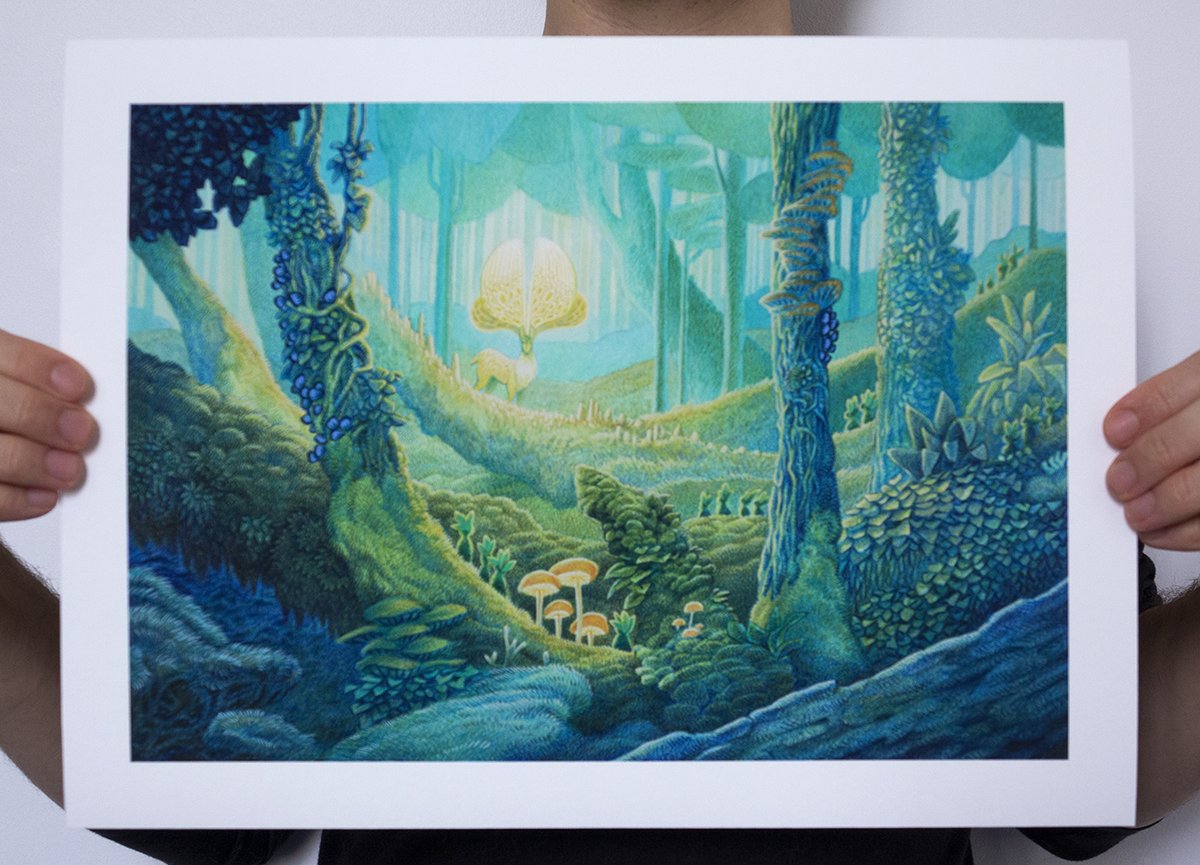Image of La forêt millénaire / The millenial forest