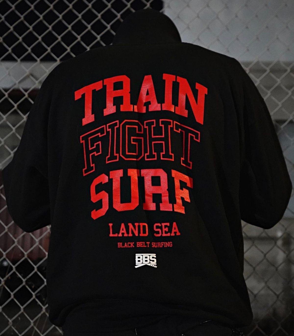 Image of Way of Life - Hoodie  