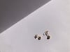Posie Studs