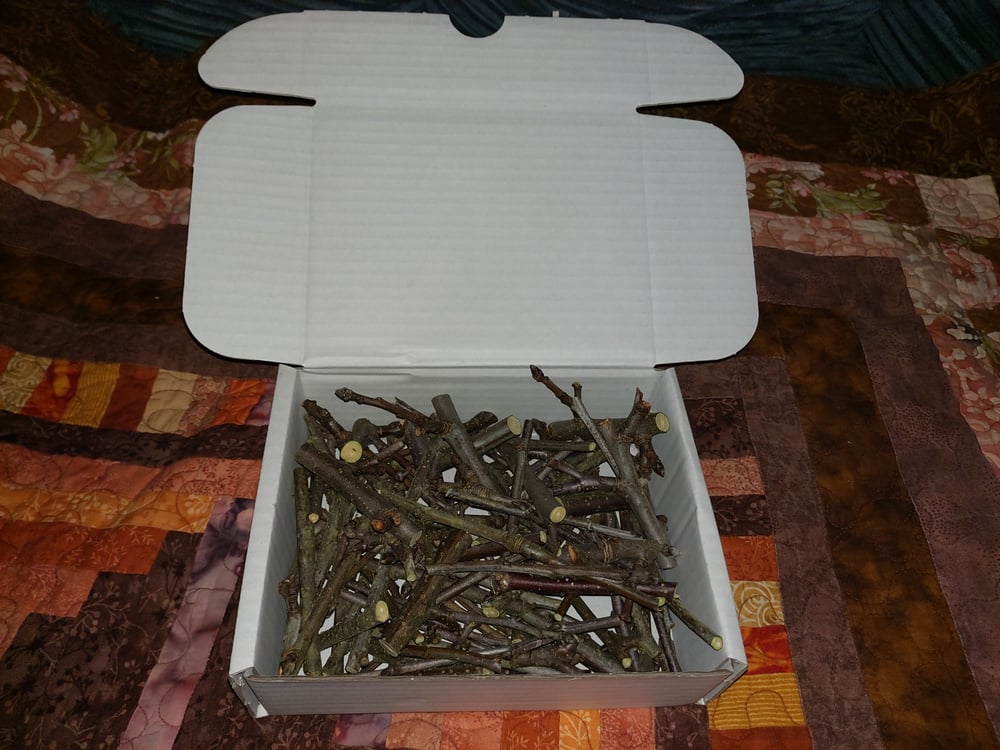 Image of Apple branch pieces box 