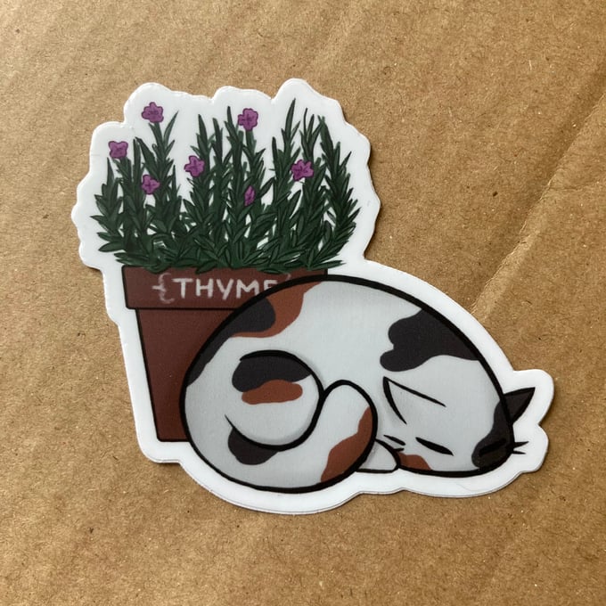 Image of Thyme