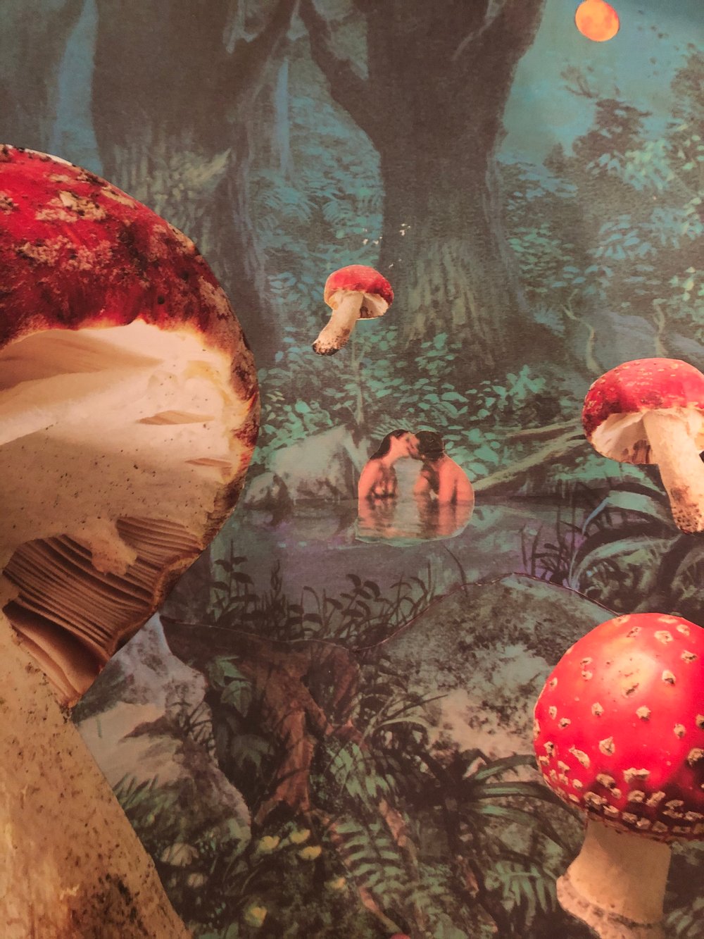 Mushroom lagoon poster 
