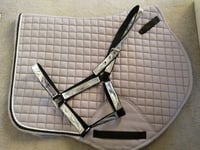 Close contact Jumping Saddle Pad & silver Headcollar Full Size 