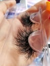 Kinky Lashes