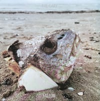 The Gary - Fallow 12" EP [vinyl]