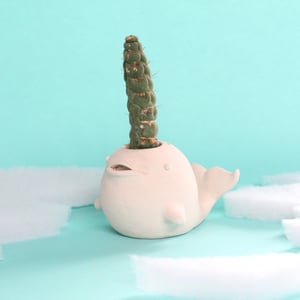 Image of Narwhal planter