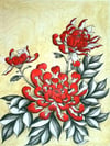 Red Chrysanthemum by Isa Coleman