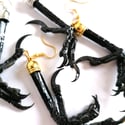Preserved Natural Magpie Claw Earrings