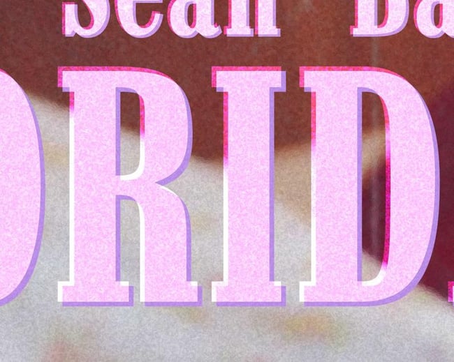 THE FLORIDA PROJECT #2