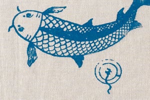 Image of Carp in the bath