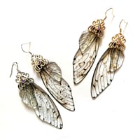 Image 1 of Resin Cicada Wing Drop Earrings
