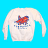 Townie and Mistery sweatshirt