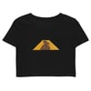 Yellow triangle Crop Top