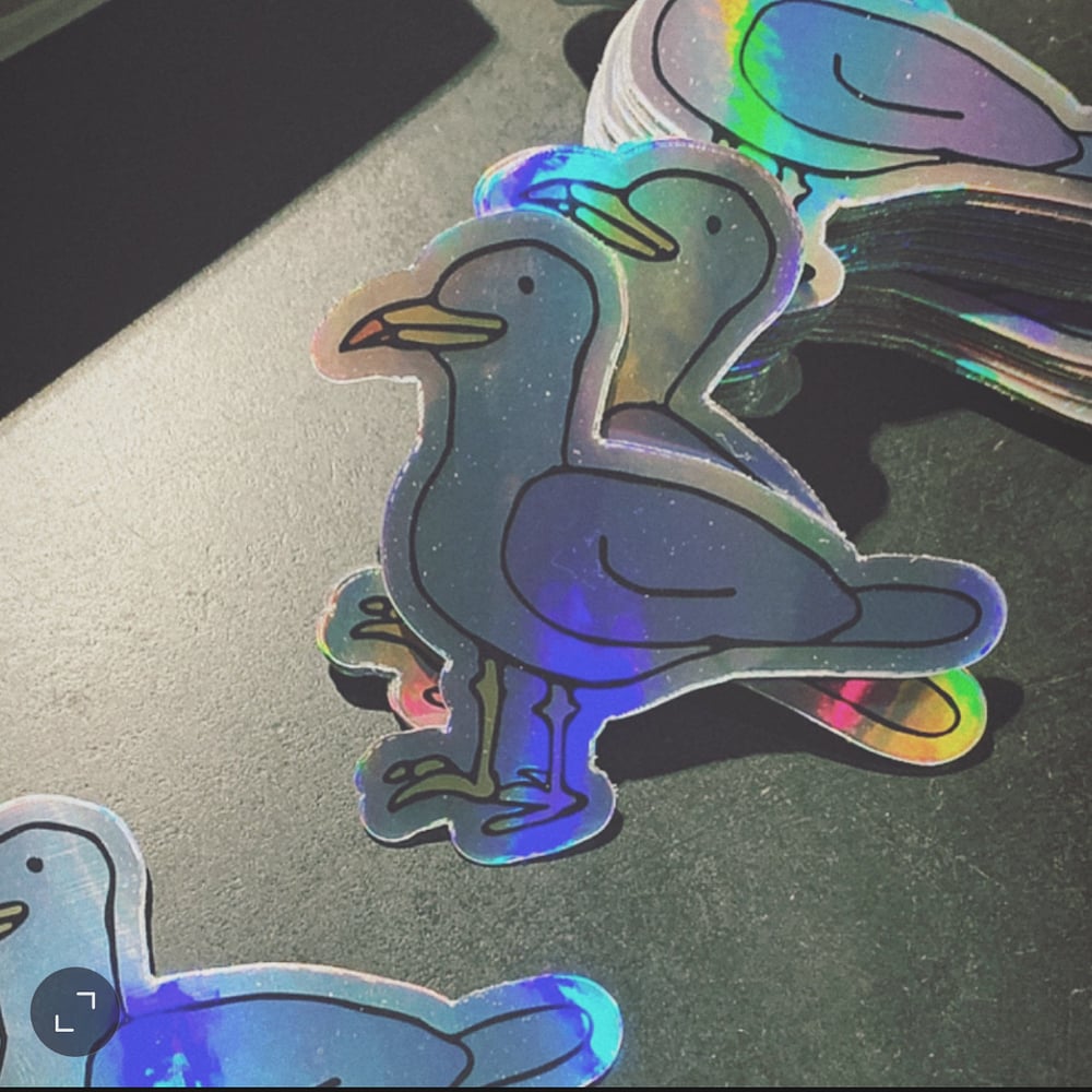 Image of Seagull Hologram Sticker