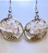 Tree Of Life Rose Quartz Earrings