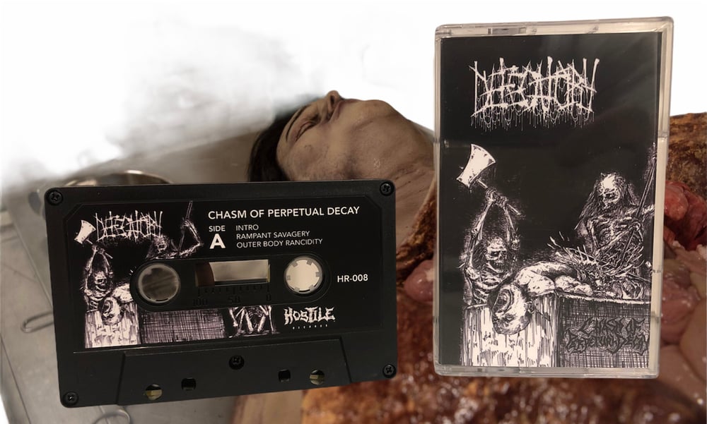 Image of Defecatory - Chasm of Perpetual Decay (Hostile)