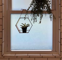 Image 2 of Hex Plant Holder in Honey