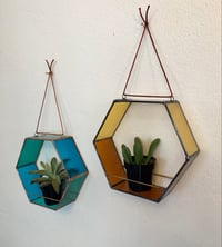 Image 3 of Hex Plant Holder in Honey