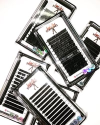 Classic and Volume Lash Trays 