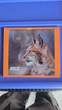 Bobcat (1st Album) on CD