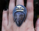 Image 2 of Stick Agate Forest Ring Size US 8,5 Discounted