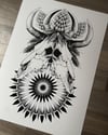 A3 Bull Skull Thistle Print. 