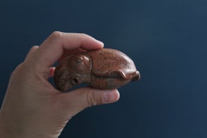 Image of Cuttlefish pipe