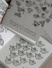 Image 3 of Natural Curiosity Colouring Book