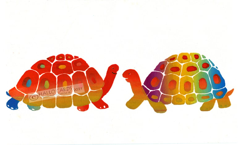 Image of Tortoises