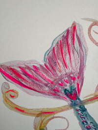 Image 3 of Amphitrite 