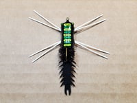 Image of Dragonfly Boga Bug