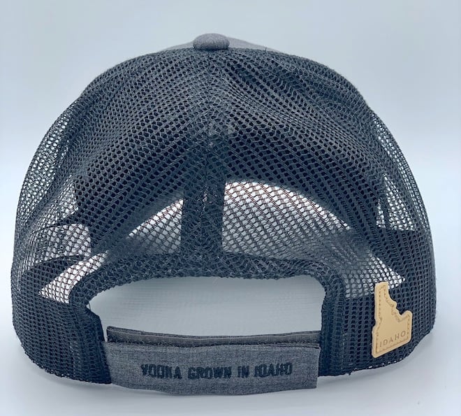 Gray Trucker Hat