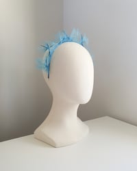 Image 1 of DANDELION : SKY