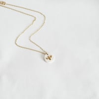 Image 2 of Honey Bee White 