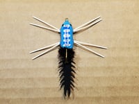 Image of Dragonfly Boga Bug