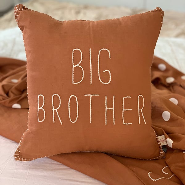 Image of Big Brother Cushion