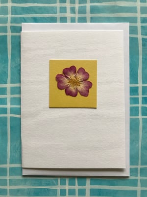 Image of Pressed Flowers