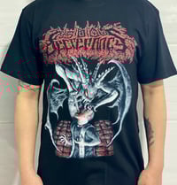 Image 2 of Insidious Decrepancy