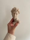 david