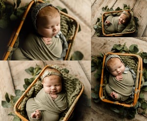 Image of Newborn Session ~ $1,299.00