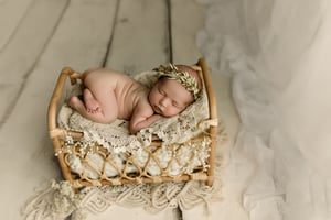 Image of Newborn Session ~ $1,299.00