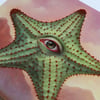 Starfish Reborn [Limited Edition Print]