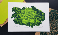 Romanesco - 5" x 7"