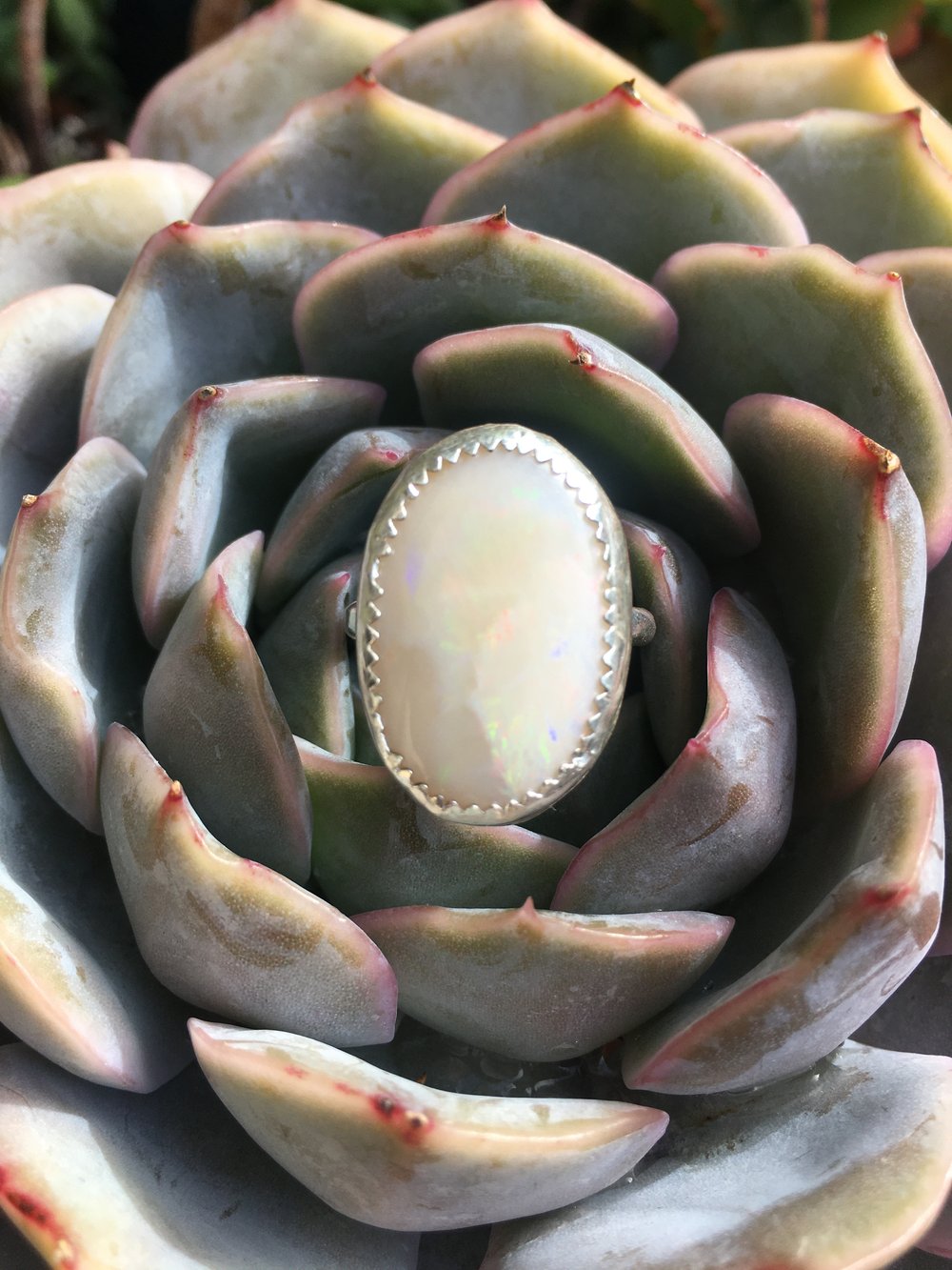 Image of Australian Opal & Silver Ring