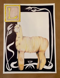 Image 2 of “L” llama