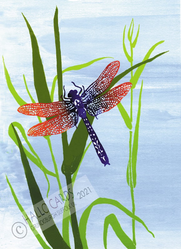 Image of Dragonfly- HL047