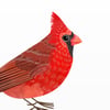 Print: Cardinal